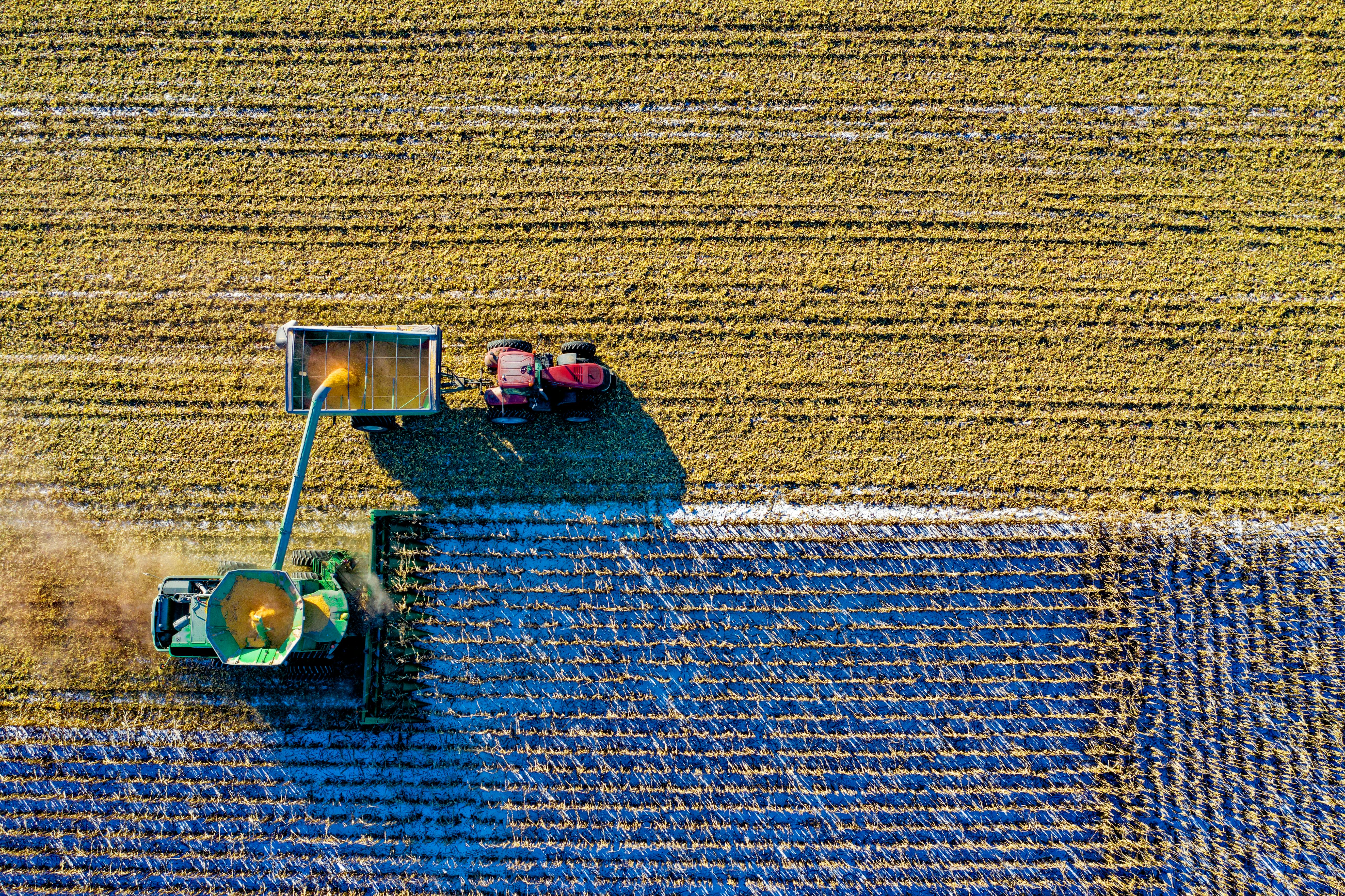 Agriculture